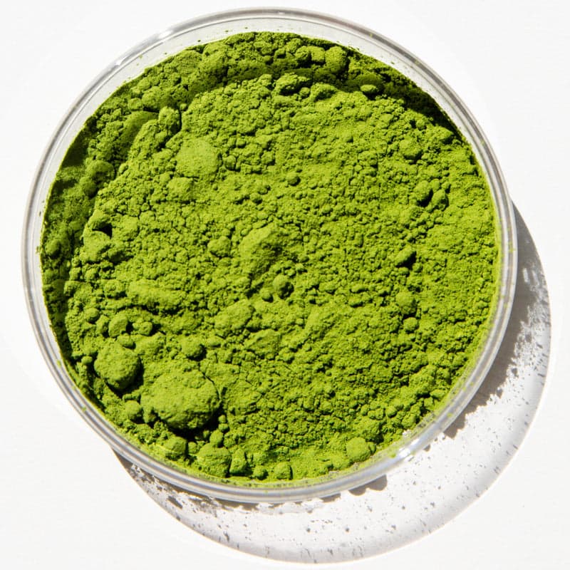 Immune support